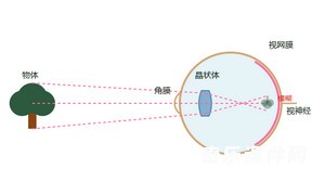 眼球成像原理