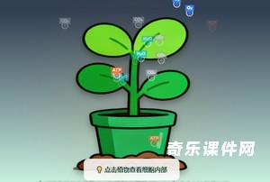植物呼吸作用可视化