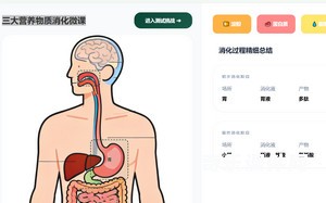 三大营养物质消化微课