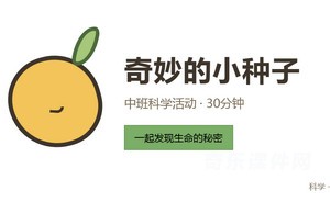 奇妙的小种子